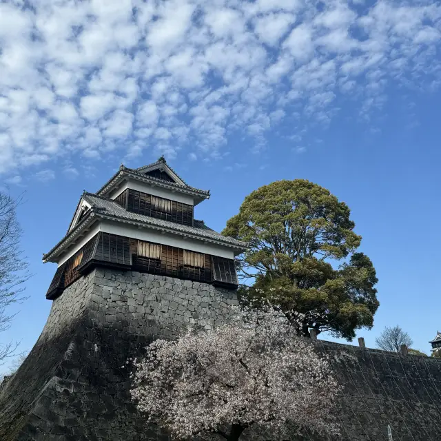 日本名城 - 熊本城