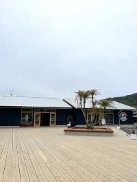 【淡路島観光】小腹が空いたらここ!?ドライブ途中に寄りたくなるお店♪