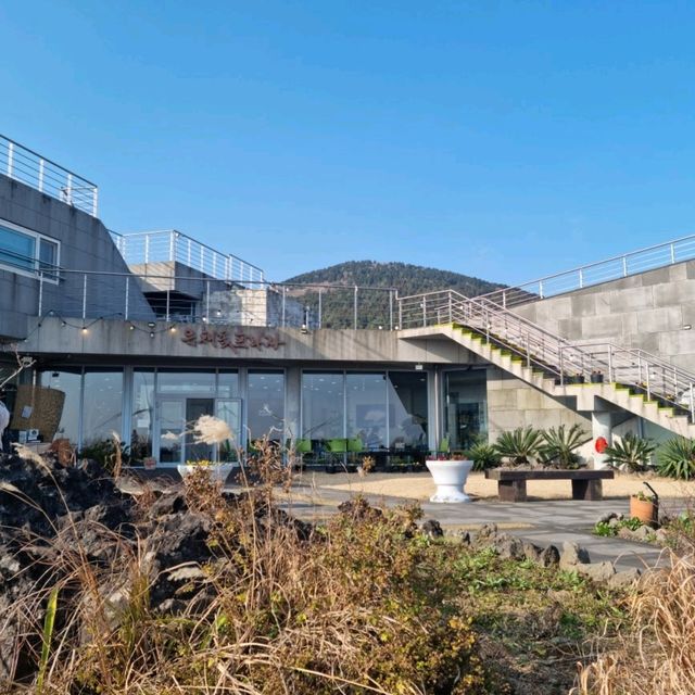제주도 유채꽃프라자에서 ~