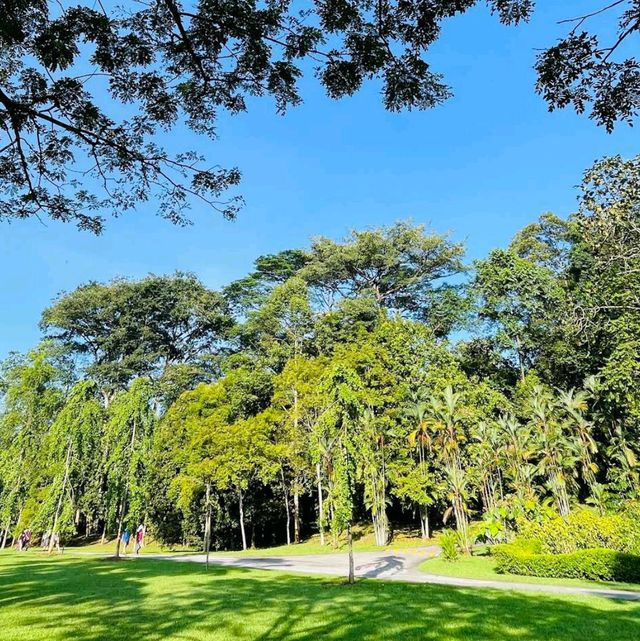 Forest Research Institute Malaysia