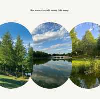「府山公園：自然美景，多彩活動，春天好去處」