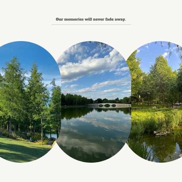 「府山公園：自然美景，多彩活動，春天好去處」