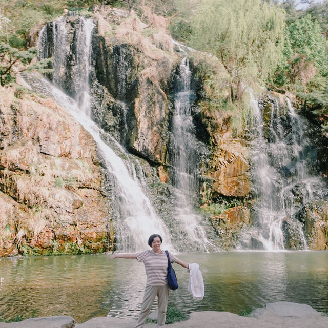 ชมดอกไม้สวยๆที่ Seoul forest park