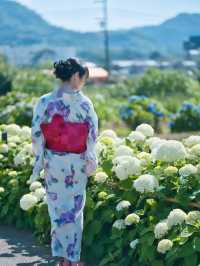 〜神奈川県〜ココは絶対行って！絶景無料あじさいスポット✨