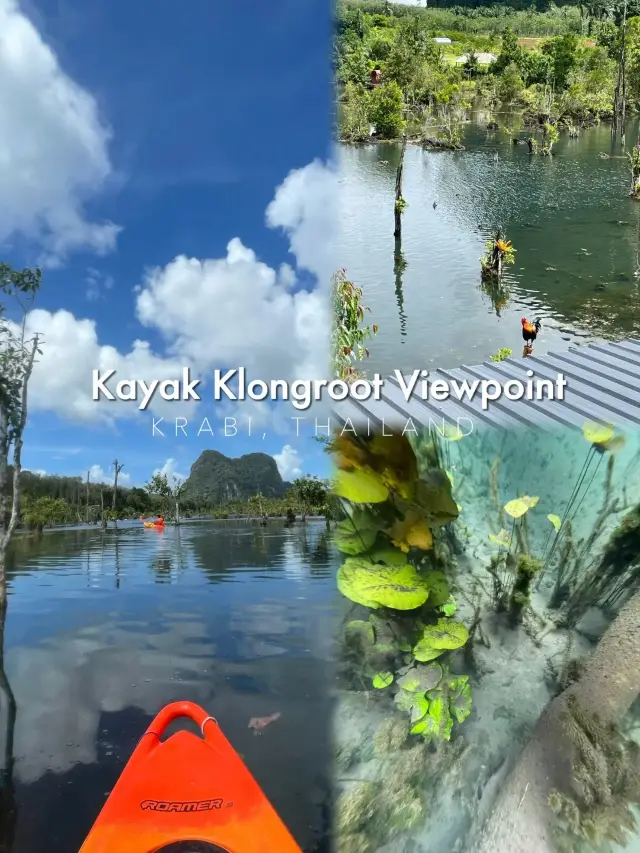 🇹🇭 Kayak Klong Root Viewpoint 🚤