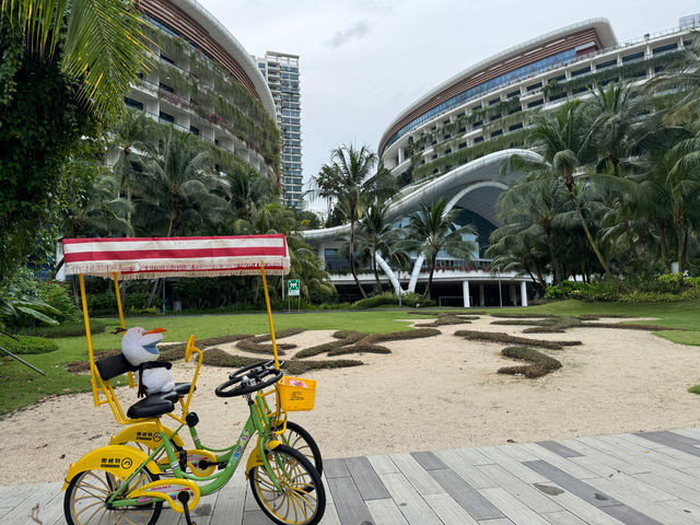 Cycling Around Forest City