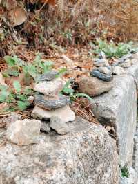 🇰🇷韓國首爾景點👣免費參觀的韓國古寺廟奉恩寺