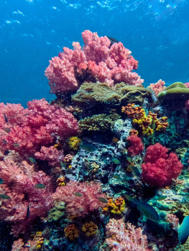 Jabang Dive Site