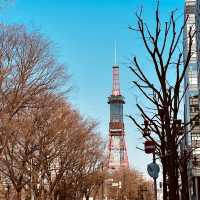 在札幌大通公園享受四季變換的活動
