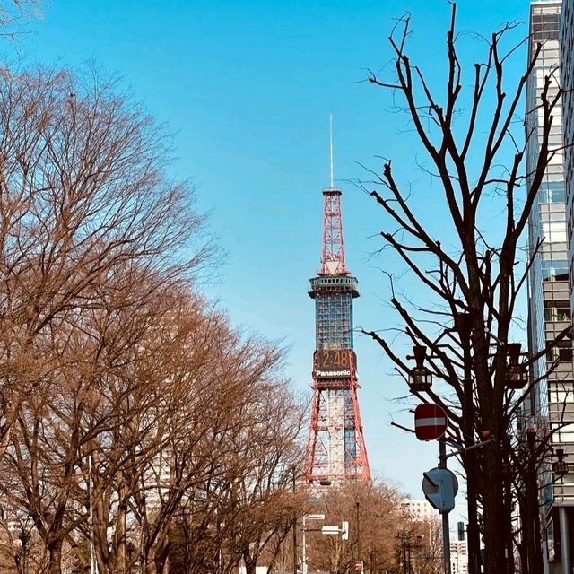 在札幌大通公園享受四季變換的活動