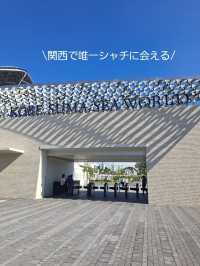 【神戸】心地よい風を感じながら須磨海岸をお散歩♪