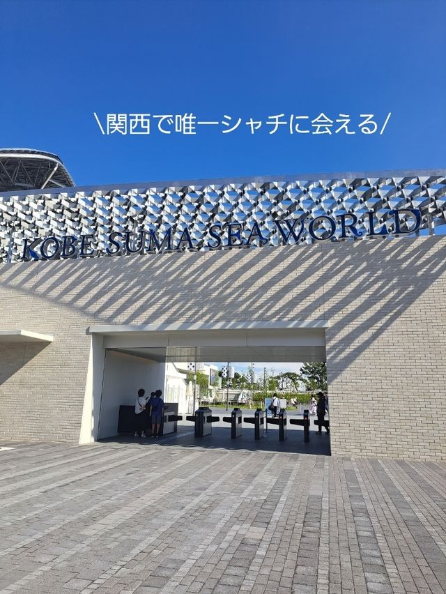 【神戸】心地よい風を感じながら須磨海岸をお散歩♪