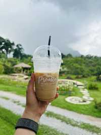 Pronto Coffee @ Chiang Dao 
