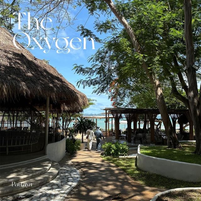 The Oxygen Pattaya