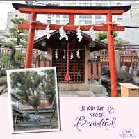 大阪特色神社半日遊⛩️