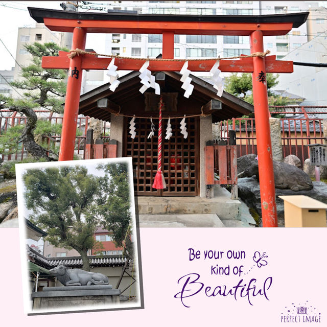 大阪特色神社半日遊⛩️