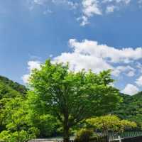 「沖繩景點：安波之滝，感受大自然之美」
