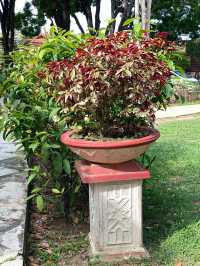 An floral garden worth to visit! 