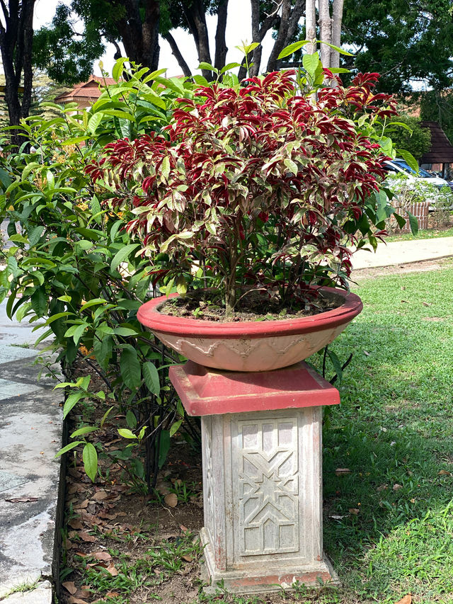 An floral garden worth to visit! 