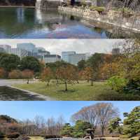 東京皇居東御苑：美麗庭園、歷史建築，遊客休閒理想去處