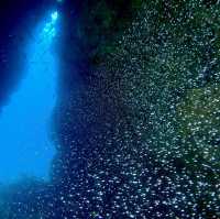 Dive into an exotic Island of your dream