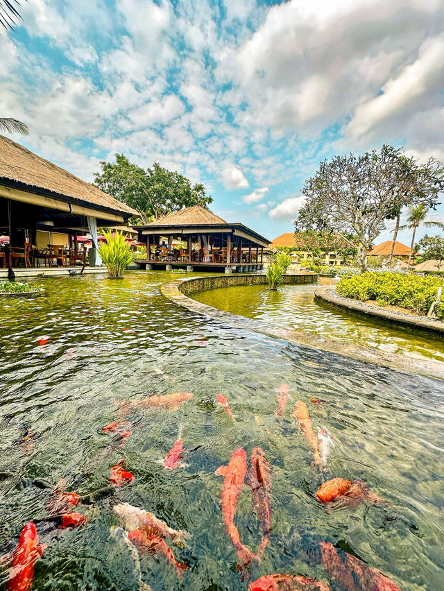 Luxurious Award Winning Resort in Bali