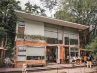 คาเฟ่ในหมง ธรรมชาติ บรรยากาศดี@ระนอง