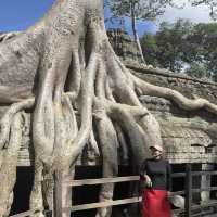 Another incredible Temple -TA PROHM