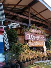 แพภูตะวัน Homestay เขื่อนเชี่ยวหลาน