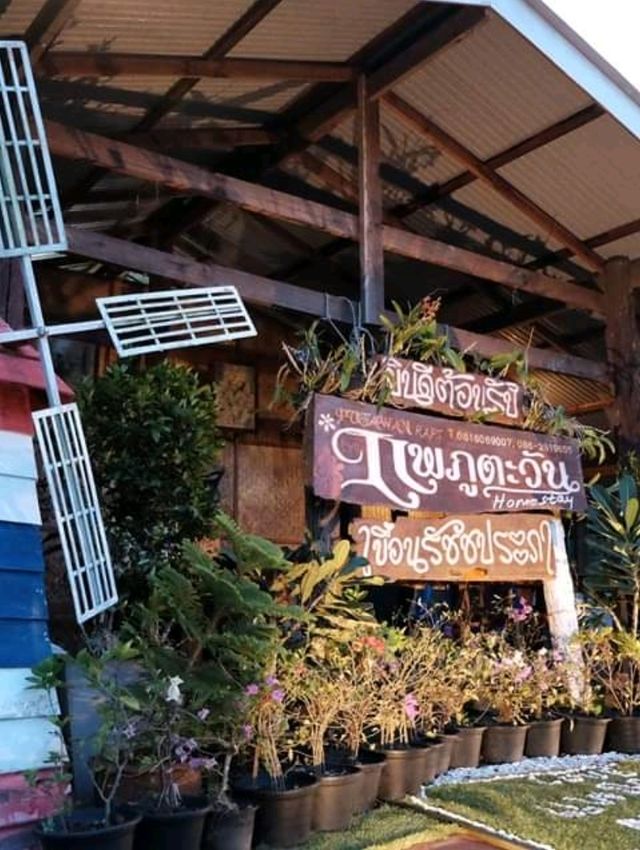 แพภูตะวัน Homestay เขื่อนเชี่ยวหลาน