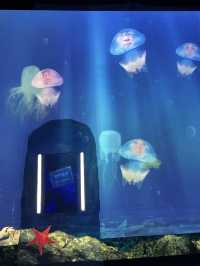 Review 🐠 อควาเรียมที่ตั้งอยู่ภายใน Ocean Park