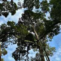 檳城之行:一段充滿人情味之旅行