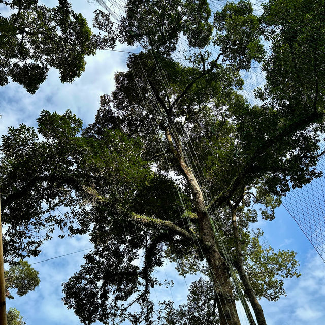 檳城之行:一段充滿人情味之旅行 檳城之行:一段充滿人情味之旅行