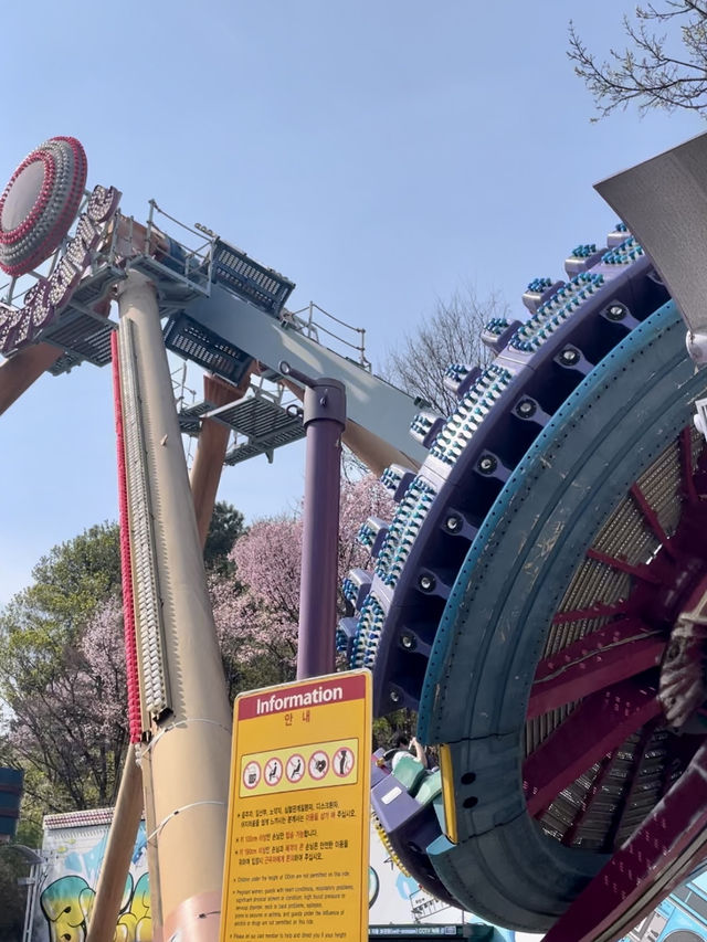 Review Everland 🎡