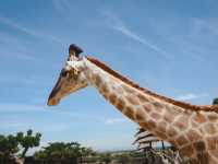 Huahinsafari & Adventure Park