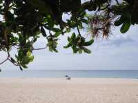 หาดกะรน จ.ภูเก็ต