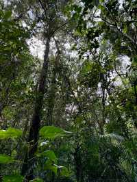 A Walk To Remember: Breathtaking Kinabalu