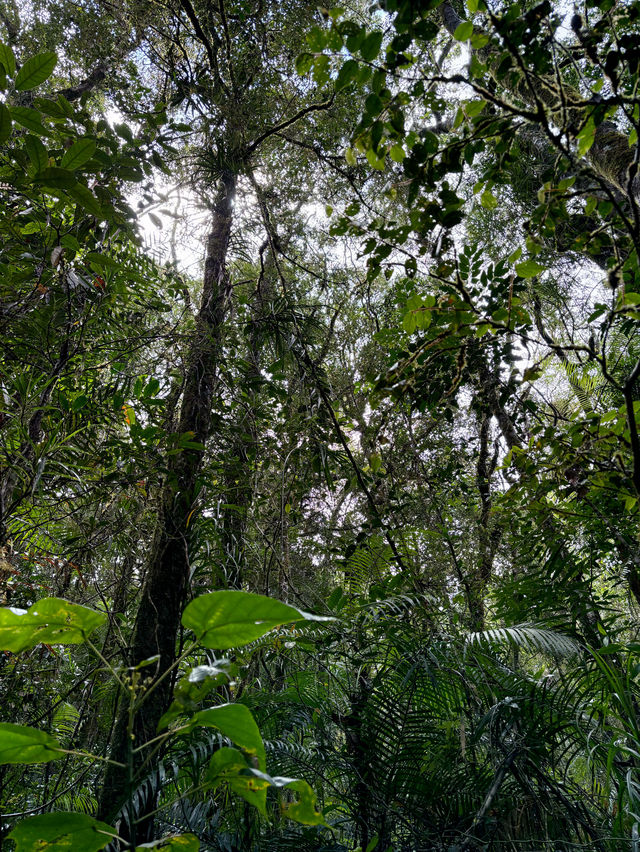 A Walk To Remember: Breathtaking Kinabalu