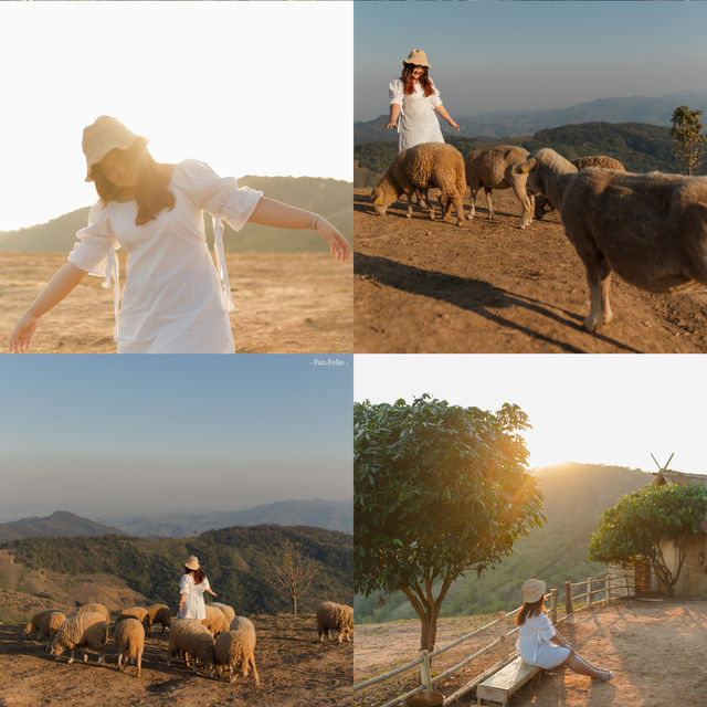 พาเที่ยวฟาร์มแกะที่ Akha FarmVille เชียงราย🐑💚