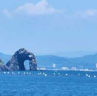 「福岡貓島：200隻流浪貓咪的夢幻樂園，治愈系目的地等你來！」