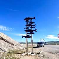 🇲🇳 Epic 10-day Mongolia Adventure 🇲🇳