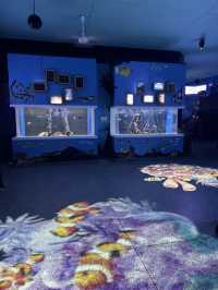 โลกใต้ทะเล Bangsaen aquarium 🐠