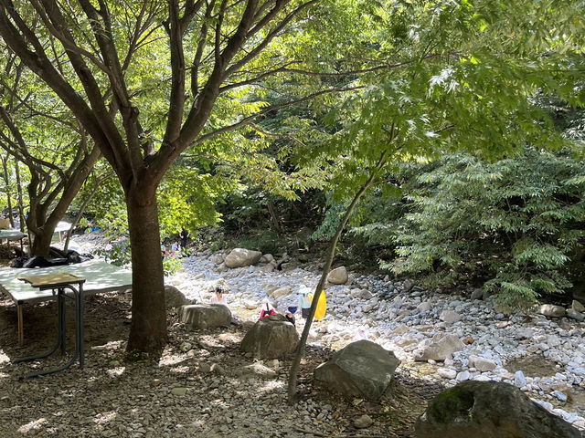 아직도 더운 여름, 괴산 갈론계곡으로 떠나요! 🧊🦦