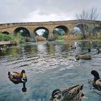 Exploring Richmond Bridge and Sweet Delights at Tasmanian Gingerbread