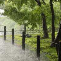 【大阪景點】西之丸庭園：雨中迷人景色～享受日本庭院風情
