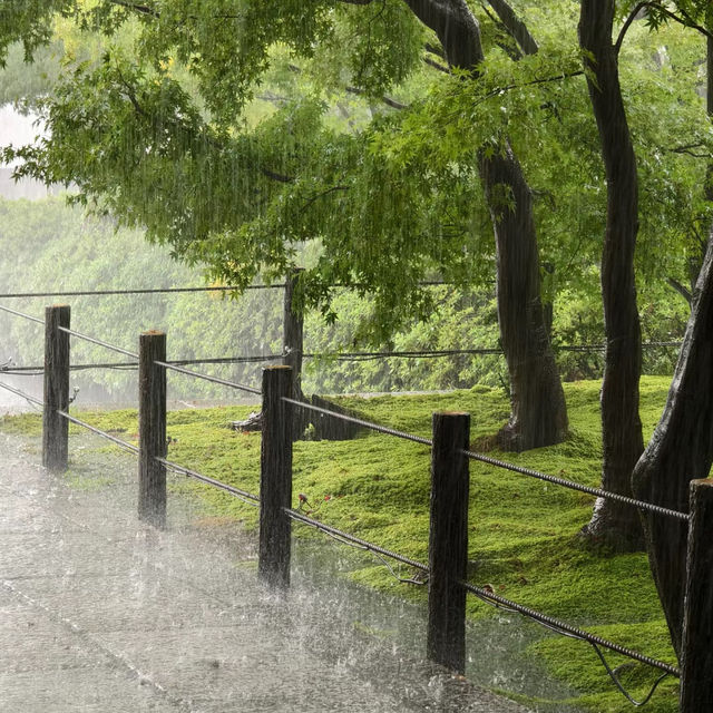 【大阪景點】西之丸庭園：雨中迷人景色～享受日本庭院風情
