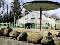 一個努力撇除蘇聯味道的動物園