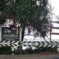 กาแฟขี้ชะมดโครงการพัฒนาส่วนพระองค์จังหวัดชุมพร