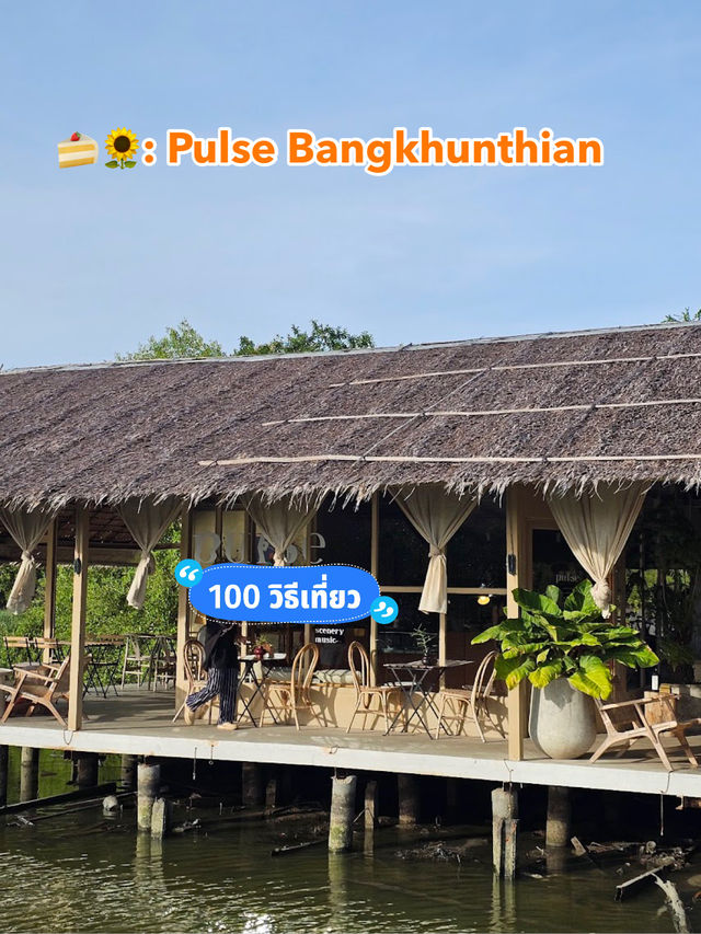 🍰🌻: Pulse Bangkhunthian