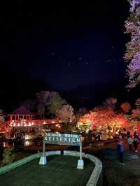 【大分観光】ライトアップされた紅葉を楽しめる日本庭園🍁✨️